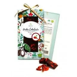 BIO Horká Čokoláda Naturalis s goji berries - 80g