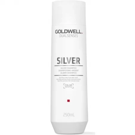 Šampon pro blond a šedivé vlasy Dualsenses Silver (Silver Shampoo) Goldwell - 250 ml