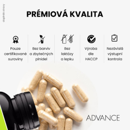 DetoxActive Advance nutraceutics - 120 kapslí