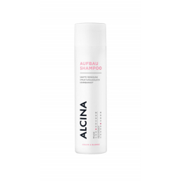 Šampon pro blond a barvené vlasy (Color & Blonde Shampoo) Alcina - 250 ml