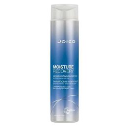 Hydratační šampon pro suché vlasy Moisture Recovery (Shampoo For Dry Hair) Aveda - 1000 ml