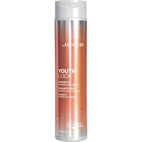 Šampon pro unavené a poškozené vlasy YouthLock (Shampoo) Aveda - 300 ml
