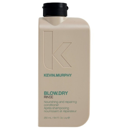 Vyživující a obnovující kondicionér Blow.Dry Rinse (Nourishing and Repairing Conditioner) Aveda - 40 ml