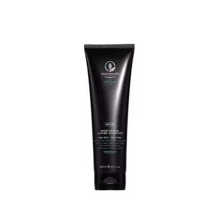 Hydratační šampon pro suché, poškozené a barvené vlasy Awapuhi Wild Ginger (Moisturizing Lather Shampoo) Paul Mitchell - 250 ml