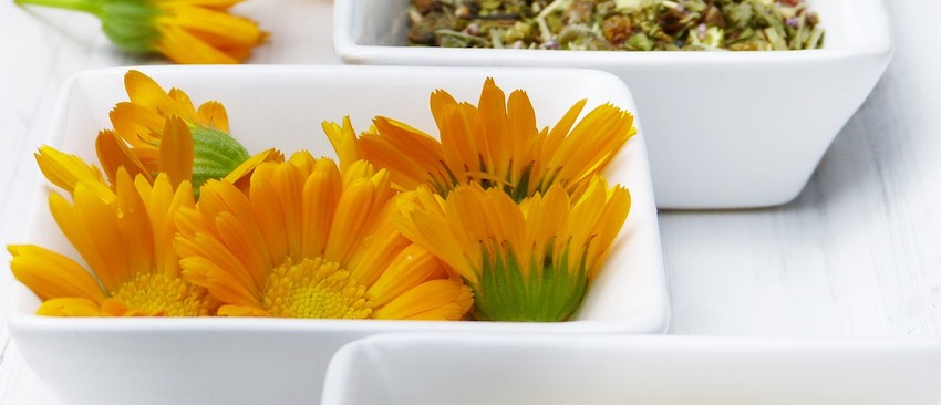 S nechtíkom proti bolesti S měsíčkem proti bolesti