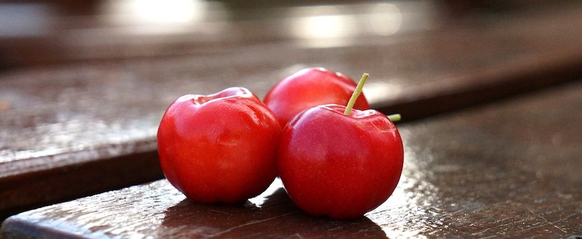 Zdravé kosti a jejich výživa