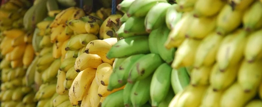 5 využití banánové mouky v kuchyni 5 využití banánové mouky v kuchyni