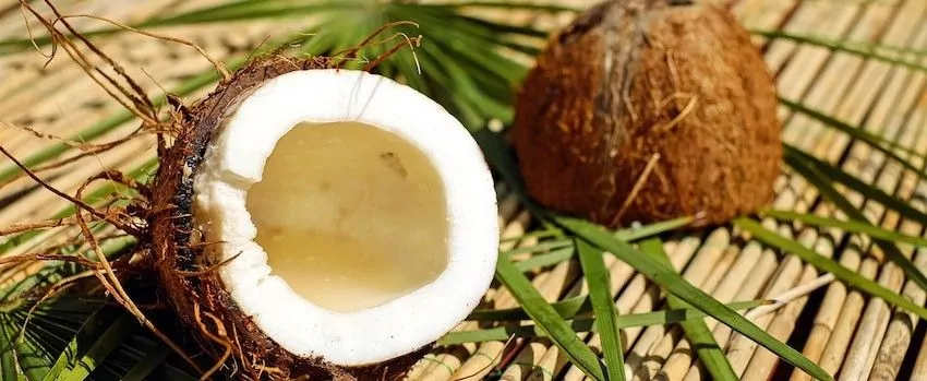 Jak nejlépe použít kokosovou mouku? Jak nejlépe použít kokosovou mouku?