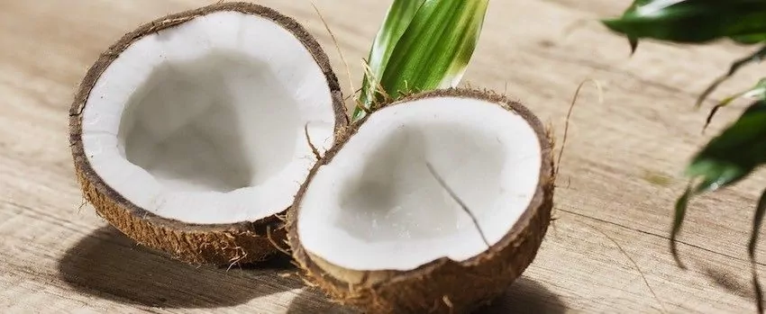 Kokosový cukr - přírodní sladidlo Kokosový cukr - přírodní sladidlo