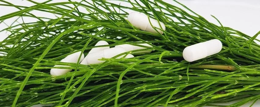 Průvodce světem doplňků stravy Průvodce světem doplňků stravy