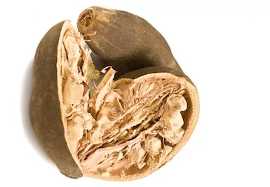 Baobab