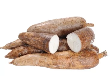 Yucca