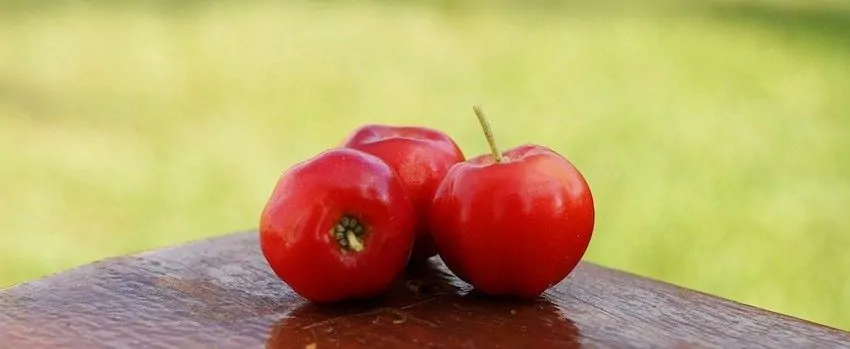 Vitamínová bomba - Acerola Vitamínová bomba - Acerola