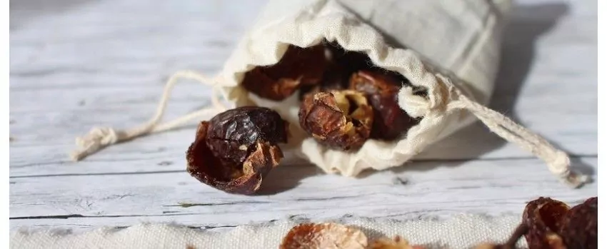 Zero waste svačiny nejen pro děti Zero waste svačiny nejen pro děti