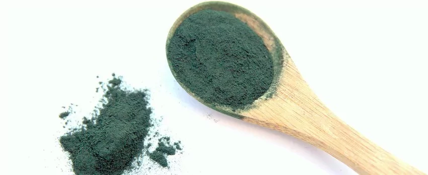Zpátky do formy se spirulinou! Zpátky do formy se spirulinou!